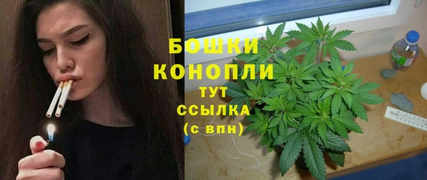 стафф Богданович
