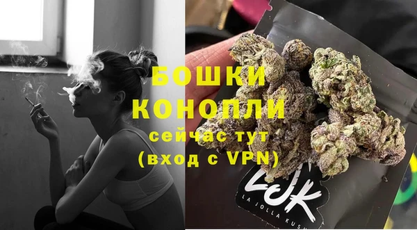 стафф Богданович
